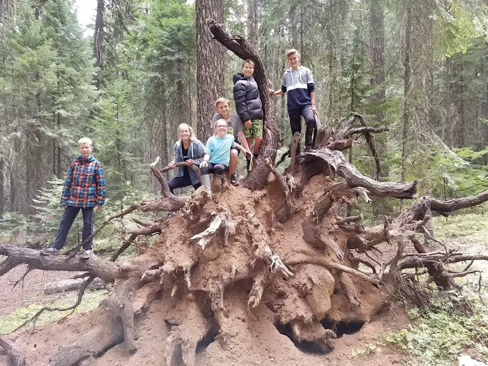 Bear Springs Group campground 6