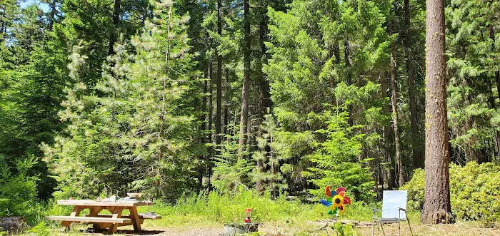 Spring Drive RV Campground 4