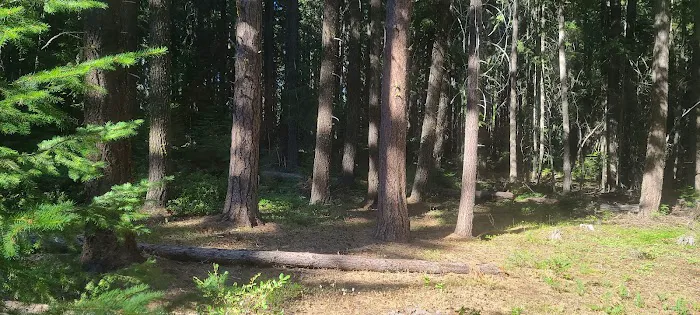 Spring Drive RV Campground 5