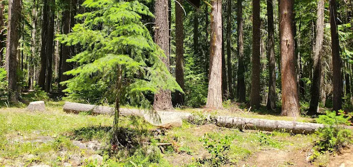 Spring Drive RV Campground 3
