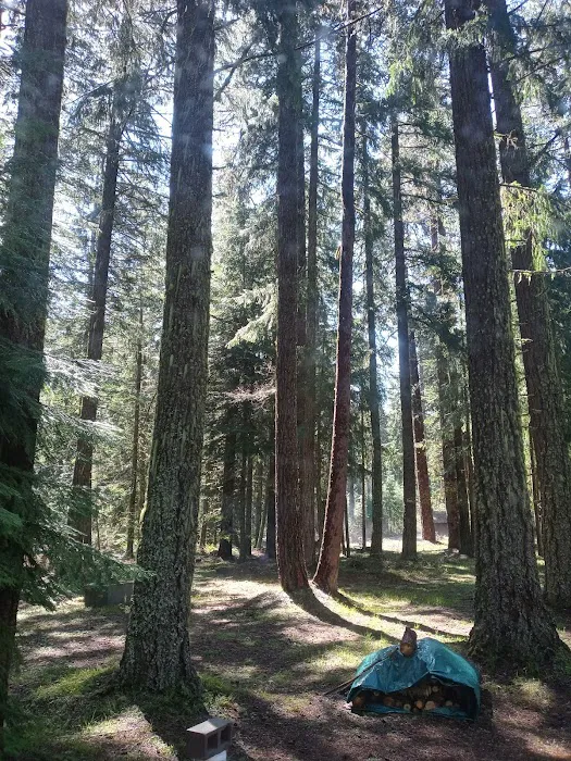 Spring Drive RV Campground 8
