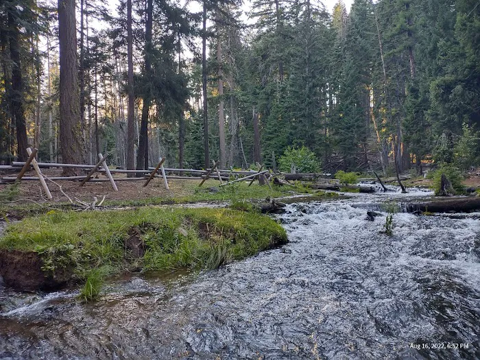 McCubbins Gulch Campground 2