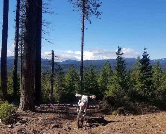 McCubbins Gulch Campground