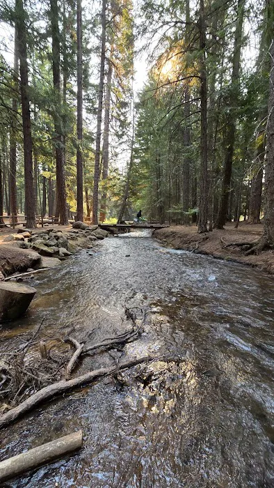 McCubbins Gulch Campground 1