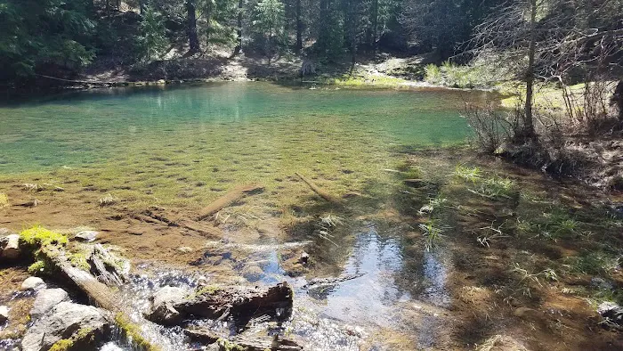 McCubbins Gulch Campground 6