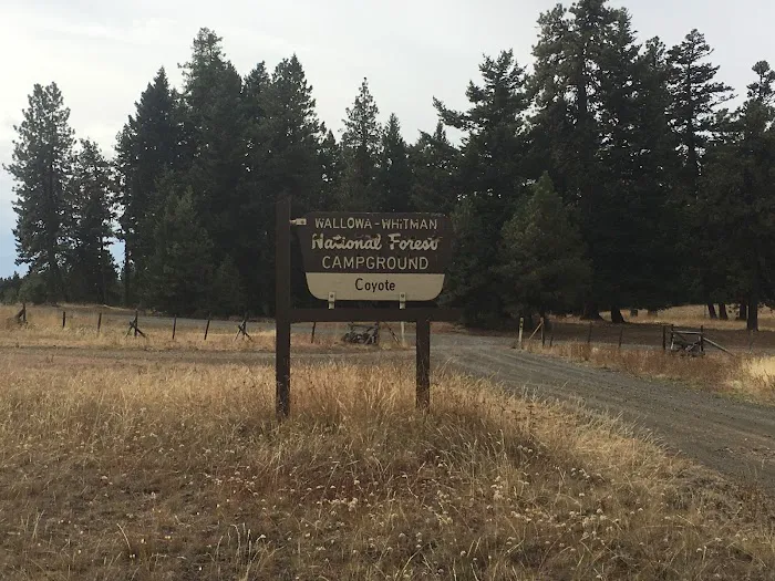 Coyote Campground 2