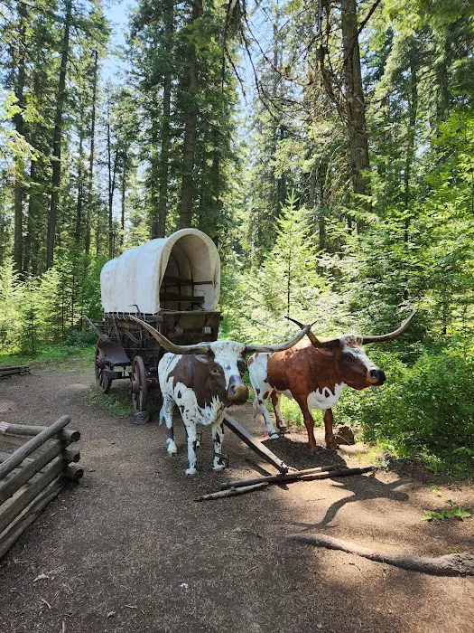 Emigrant Springs Campground 4
