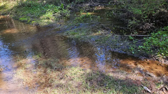 Emigrant Springs Campground 3
