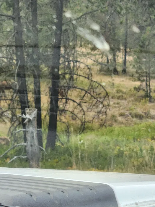 Emigrant Springs Campground 9
