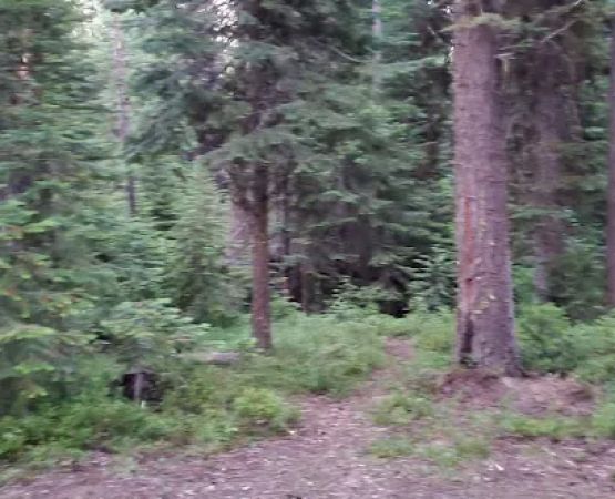 Dixie Campground