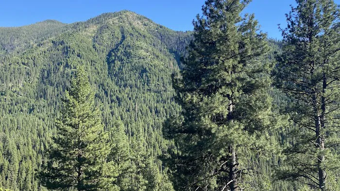 Dixie Campground 3