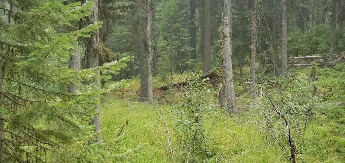 Dixie Campground 5