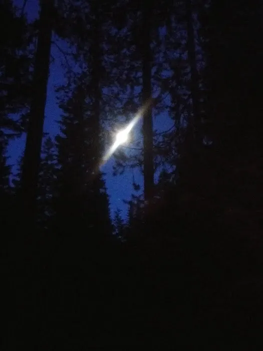 Dixie Campground 7