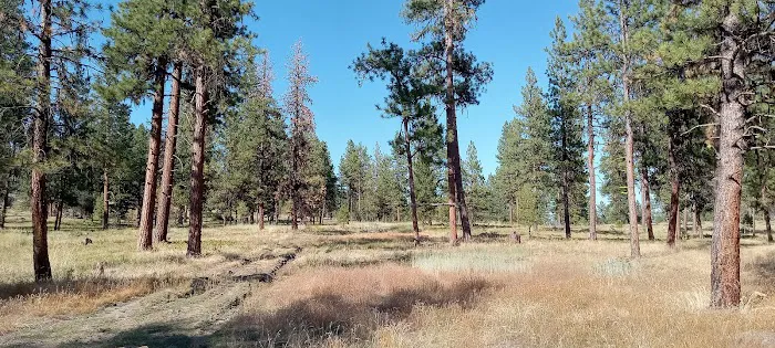 Magone Lake RV Site 1