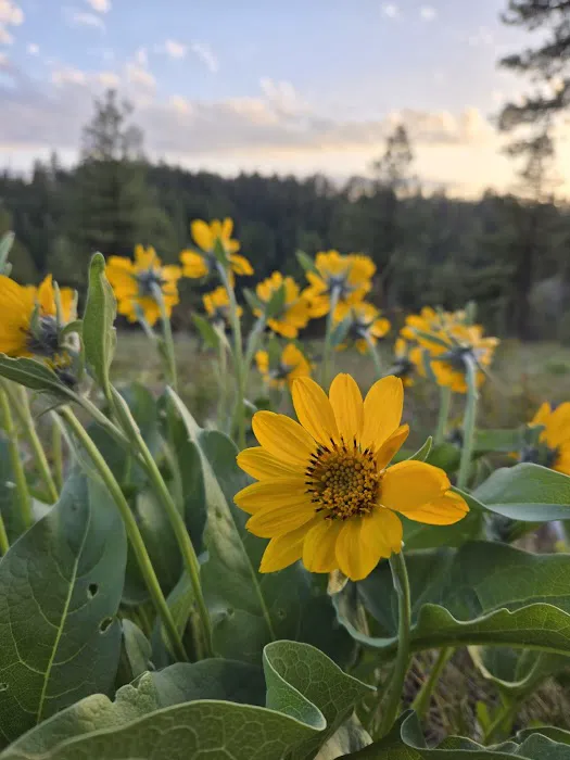 Fairview Campground 5