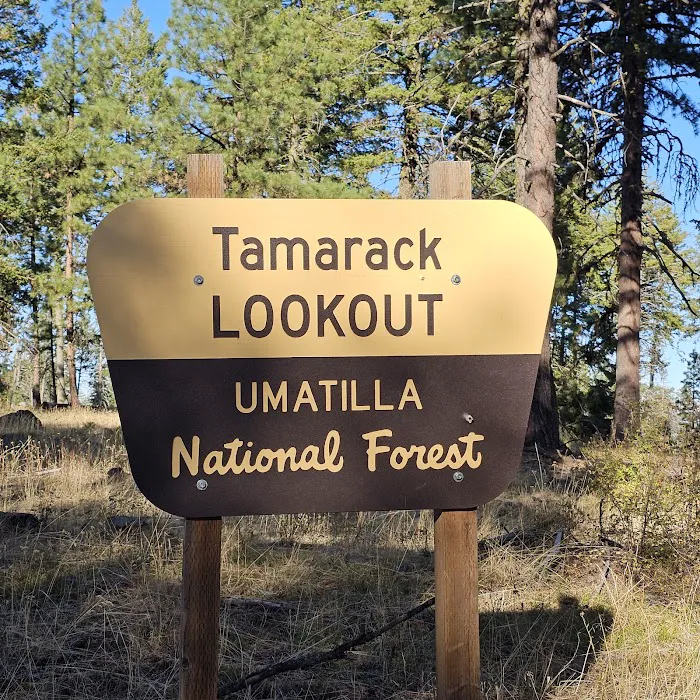 Tamarack Lookout Cabin 4
