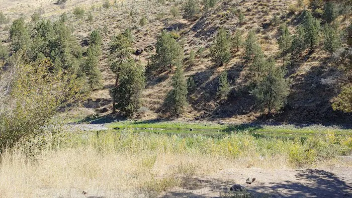 Big Bend Campground 3