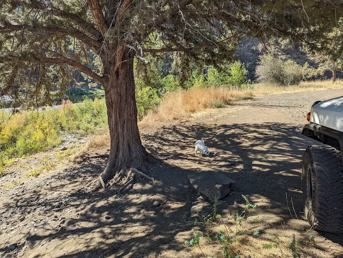 Big Bend Campground 5