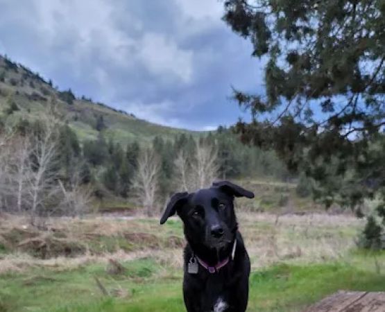Lone Pine Campground