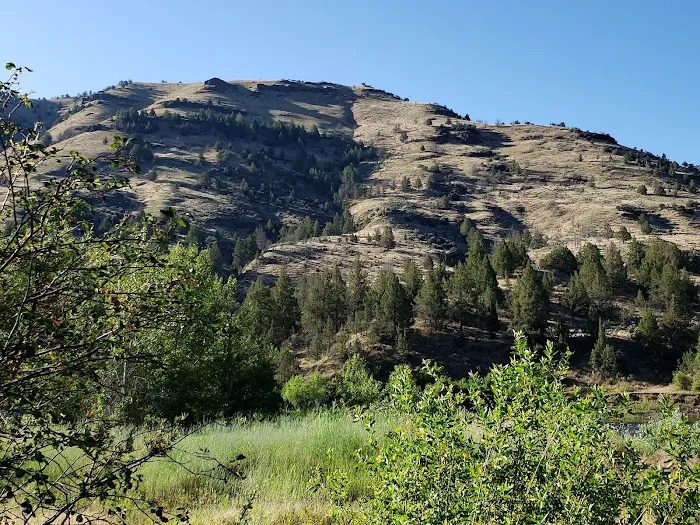Lone Pine Campground 5