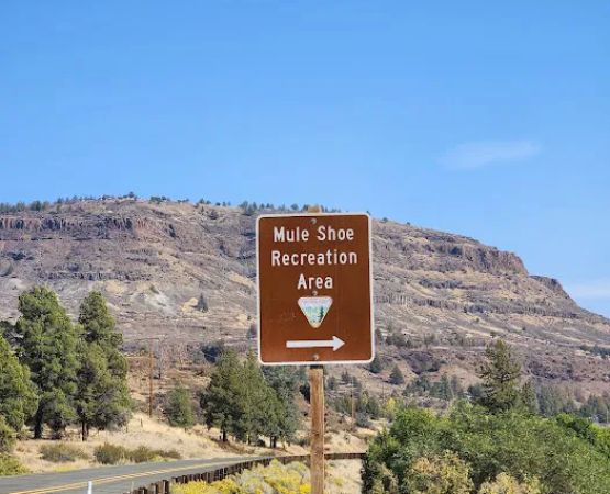 Muleshoe Campground
