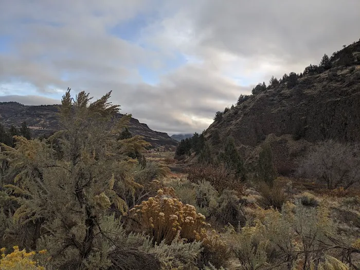 Muleshoe Campground 6