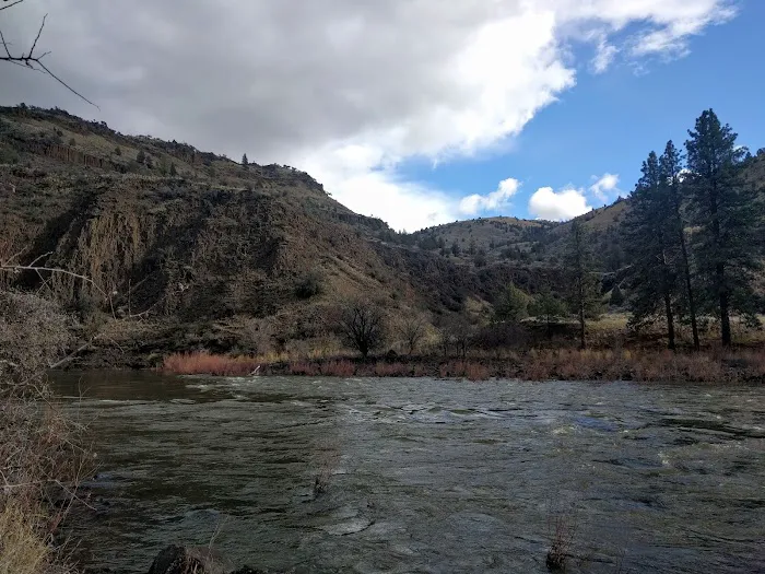 Muleshoe Campground 8