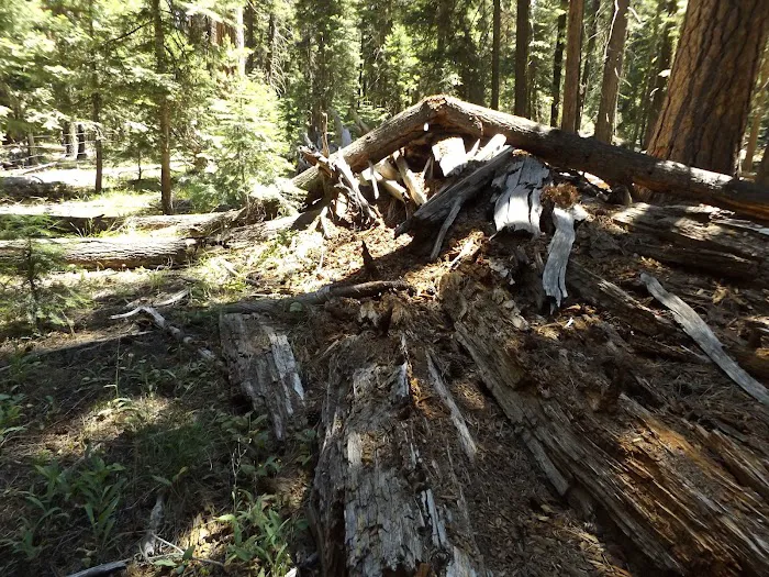 Elk Creek Campground 1