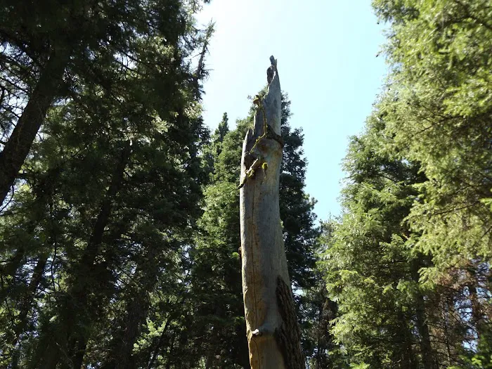Elk Creek Campground 5