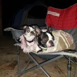 Slide Creek Campground