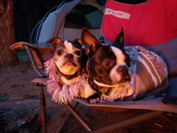 Slide Creek Campground 8
