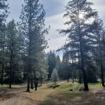 Shelton Wayside Park