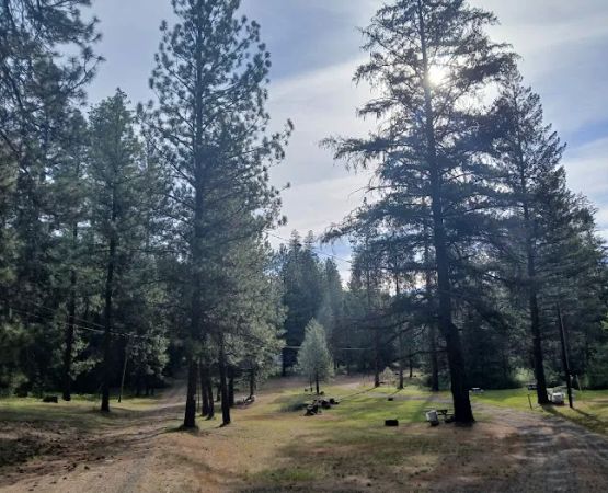 Shelton Wayside Park