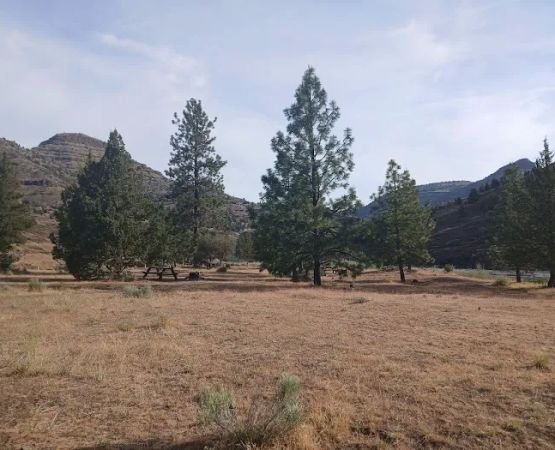 Service Creek Campground and Boat Launch