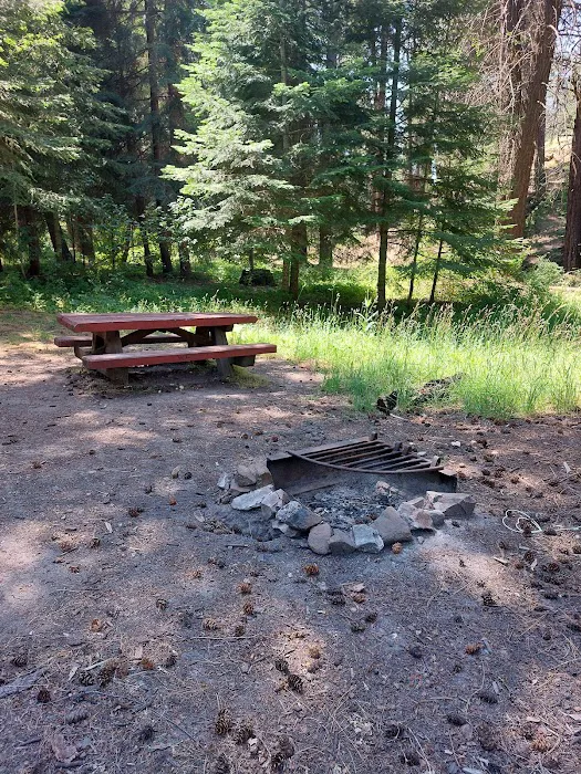 Bear Hollow Park 1