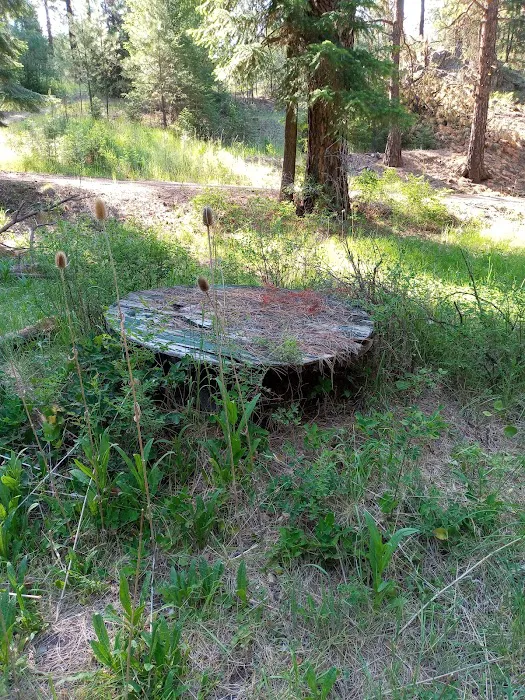 Bear Hollow Park 8