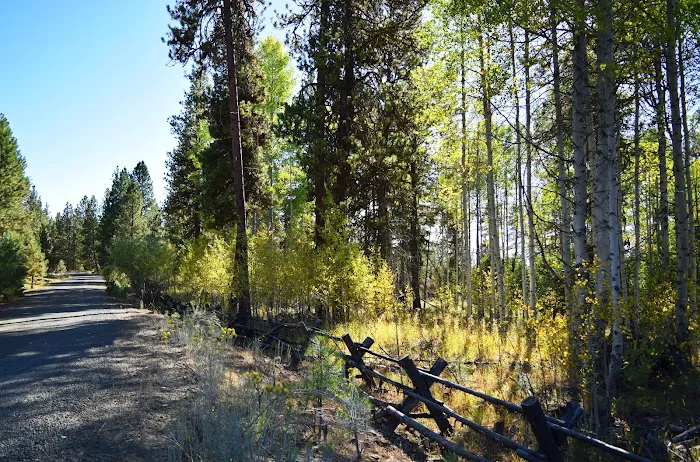 Twin Springs Campground 2