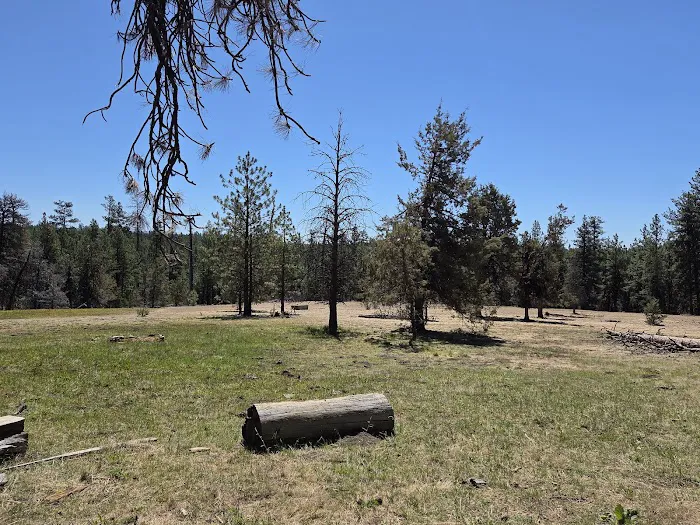 Twin Springs Campground 1