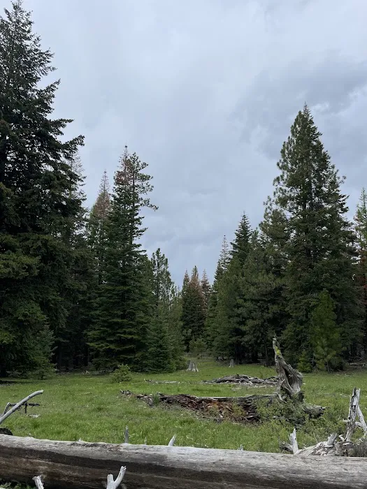 Barnhouse Campground 3