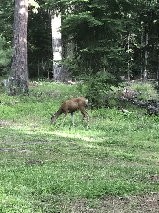 Barnhouse Campground 4