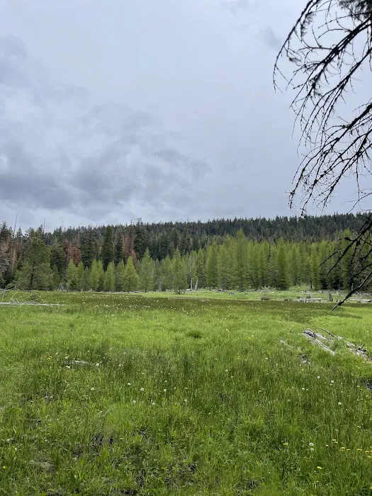 Barnhouse Campground 6