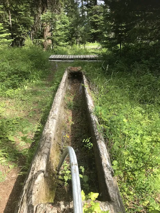 Barnhouse Campground 8