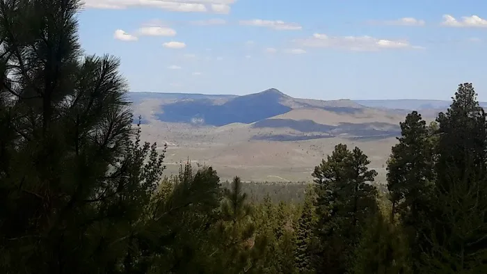 Barnhouse Campground 9