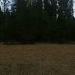 Little Summit Campground