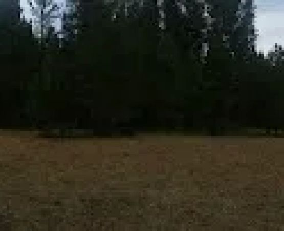 Little Summit Campground