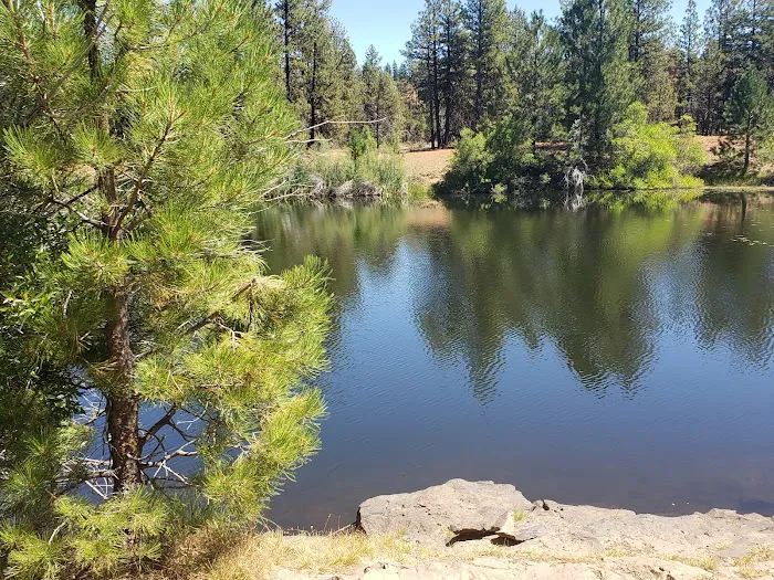 Cottonwood Pit Campground 1