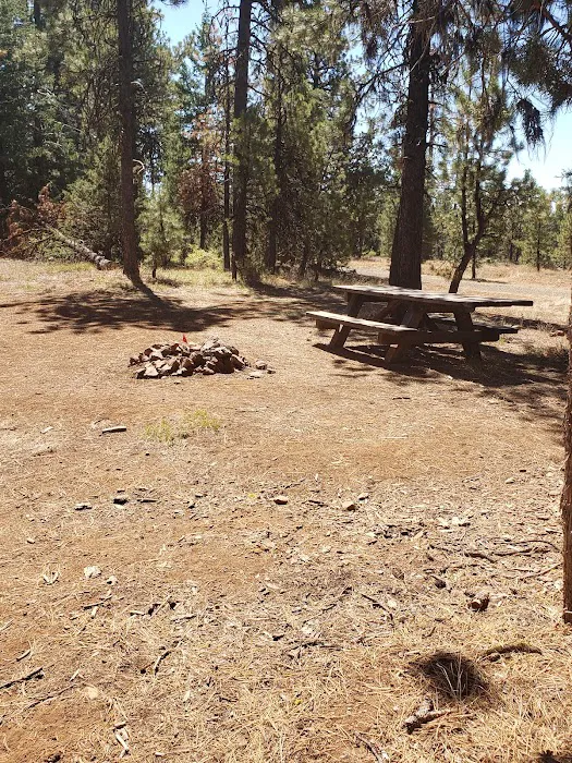 Cottonwood Pit Campground 5
