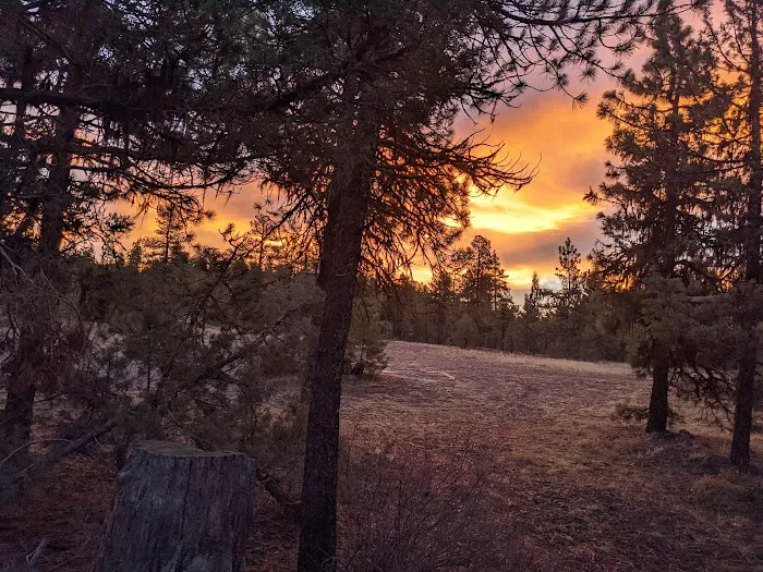 Cottonwood Pit Campground 8