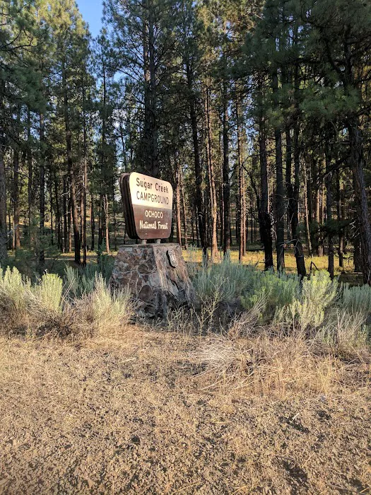 Sugar Creek Campground and Day Use Area 4