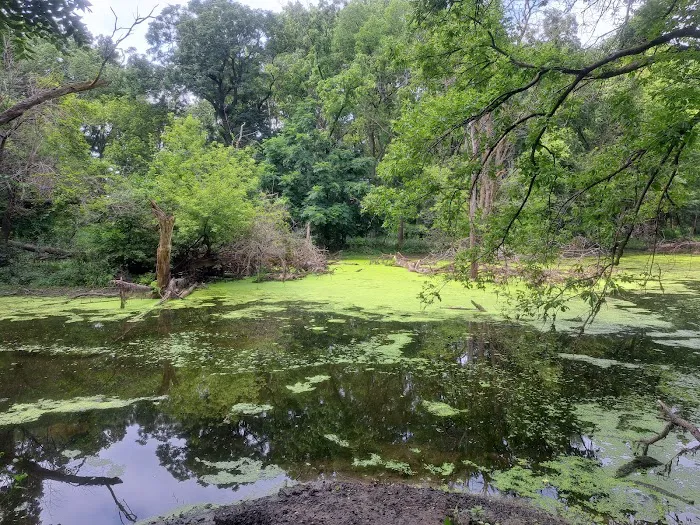 Deerwood Park Evansdale Iowa 7